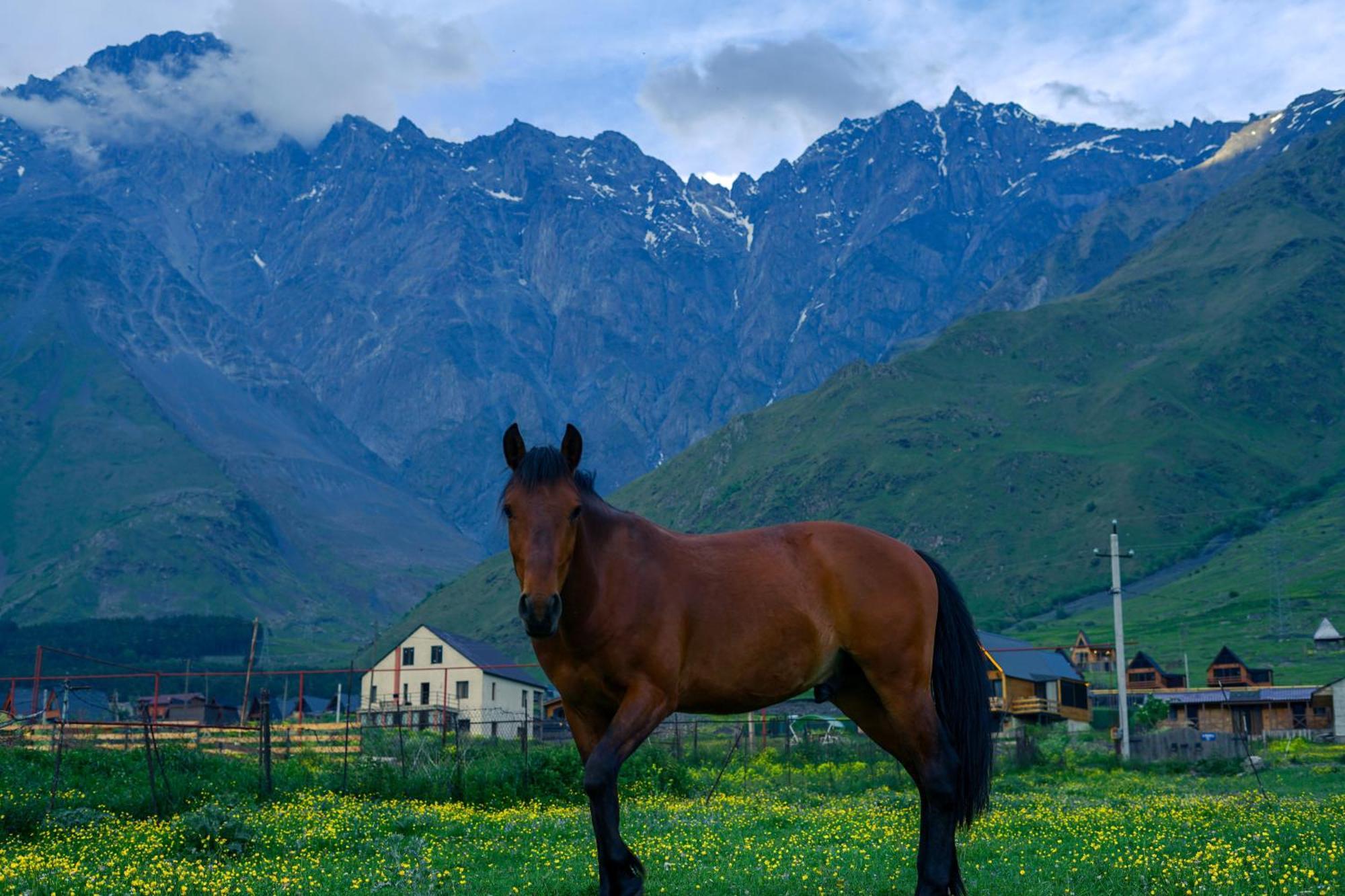 Savalley Kazbegi Eksteriør bilde